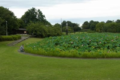 平成の森公園